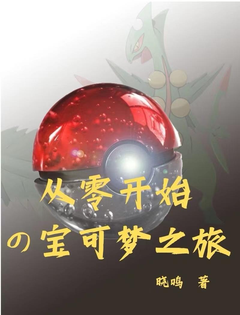 宝可梦:从零开始的宝可梦之旅