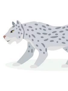 星儿穿越至百年雪豹