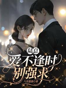 陆总,爱不逢时别强求